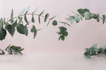 Minimal background with eucalyptus branches and wet floor. Empty space for product displaying..