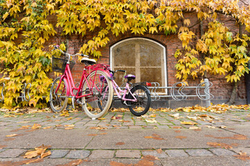 Red adult bike and pink child's bicycle parked on the street before building, covered with leafs