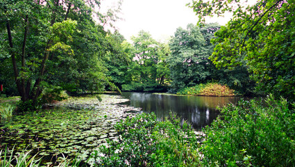 Fototapeta na wymiar Summer view over a still lake, surrounded by green trees