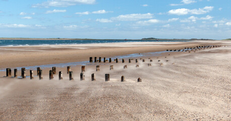 Norfolk beach with blue skies. wind blowing sand past the groynes 