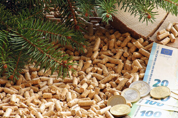 Holzpellets mit Geld