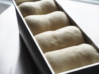 raw bread dough in baking tin