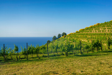 The Adriatico coast between Gabicce and Pesaro