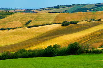 Rural landscape along the road from Fano to Mondavio, Marche
