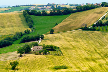 Rural landscape along the road from Fano to Mondavio, Marche