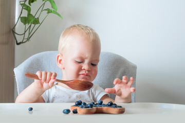 Blonde toddler boy eating Yummy blueberries wooden spoon on highchair close-up and copy space...