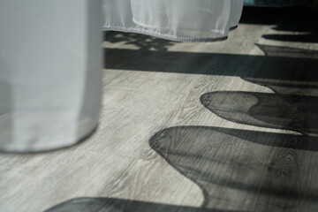 The curtain and its shadow.