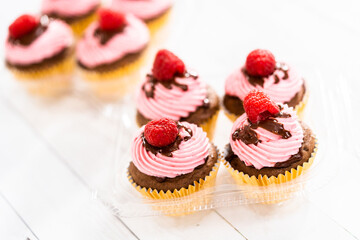 Chocolate raspberry cupcakes