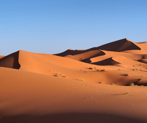 Fototapeta na wymiar Desert and dunes by day. 