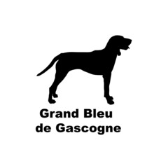 grand blue gascogne