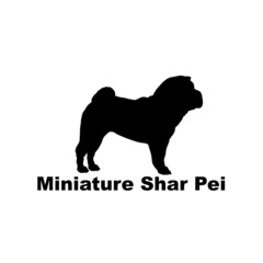 miniature shar pei
