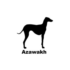 azawakh