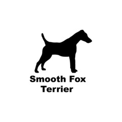 smooth fox terrier