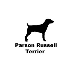 parson russell terrier