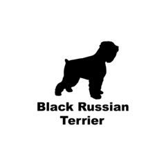 black russian terrier