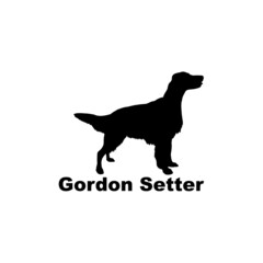 gordon setter.