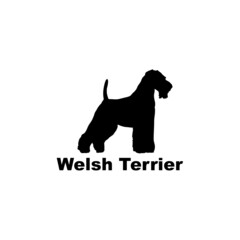 welsh terrier