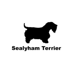 sealyham terrier.