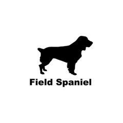 field spaniel