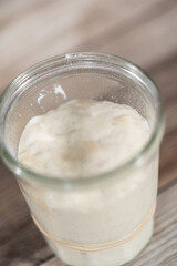 Sourdough starter