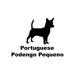 Portuguese Podengo Pequeno.