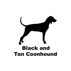 black and tan coonhound
