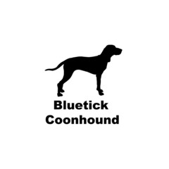 bluetick coonhound