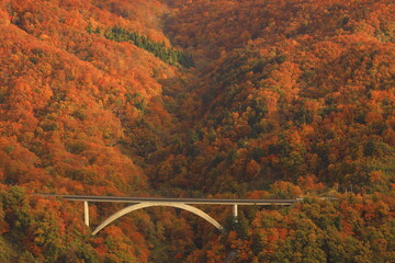 Fototapeta premium 岩手県奥州市 紅葉の奥州湖