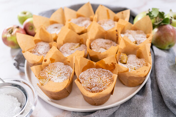 Apple sharlotka muffin