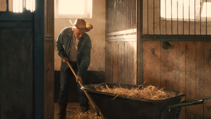 Aged farmer cleaning stall from hay - obrazy, fototapety, plakaty