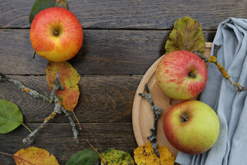 Apples together with colored leaves and some twigs with yellow and grey lichen on a dark wooden surface. Light blue napkin on the right side in a background. 