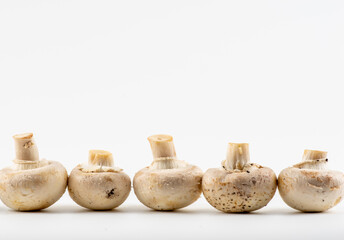 mushrooms isolated on white background with copy space. Champignon Mushrooms Isolated on White. Heap of champignon mushrooms.