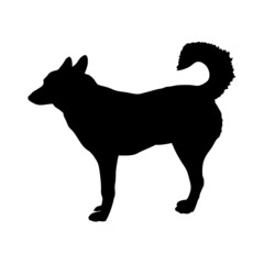 Dog silhouette. Breeds