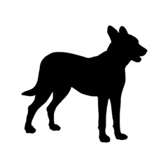 Dog silhouette. Breeds