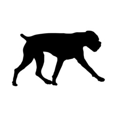 Dog silhouette. Breeds