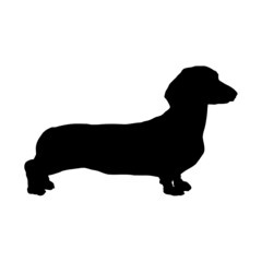 Dog silhouette. Breeds