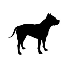 Dog silhouette. Breeds