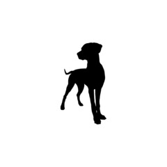 Dog silhouette. Breeds