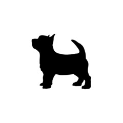 Dog silhouette. Breeds