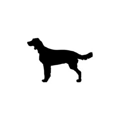 Dog silhouette. Breeds