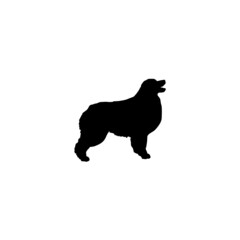 Dog silhouette. Breeds