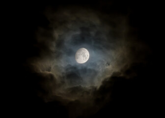 Obraz na płótnie Canvas Eery Moonlight