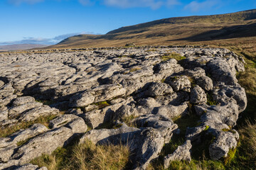 Limestone pavement at White Scars near to Ingleborough in the Yorkshire Dales