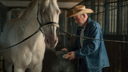 Elderly farmer cleaning horse in stable