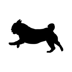 Dog silhouette. Breeds