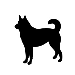 Dog silhouette. Breeds