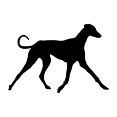 Dog silhouette. Breeds