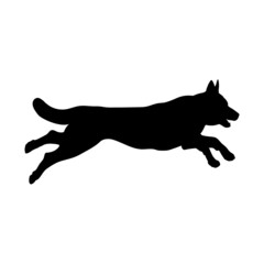 Dog silhouette. Breeds