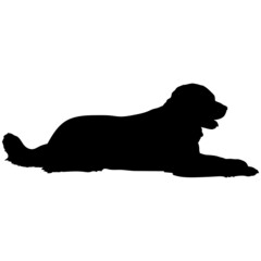 Dog silhouette. Breeds