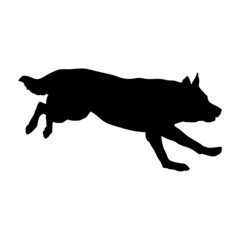 Dog silhouette. Breeds